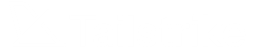 Tailstrike Logo